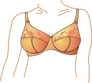 Archivo:Modern bra fullcup