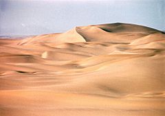 Archivo:Namib desert dunes