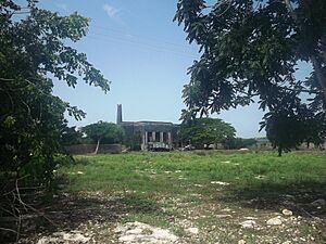 Archivo:Nohuayún, Yucatán (04)