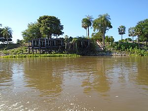 Archivo:Orilla sobre el río Paraguay al sudeste del departamento de Alto Paraguay.