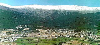 Piedralavs Municipio.jpg