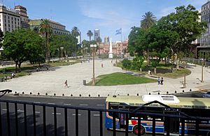 Plaza de Mayo desde el Cabildo.jpg