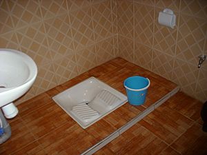 Archivo:Pour-flush toilet in Morocco (13545886254)