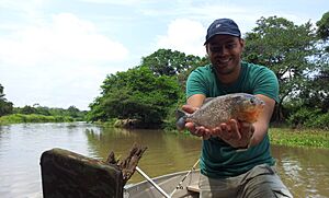Archivo:Río Blanco, Santa Cruz, Bo