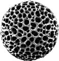 Radiolaria hg