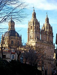 Salamanca - Clerecia 03.jpg