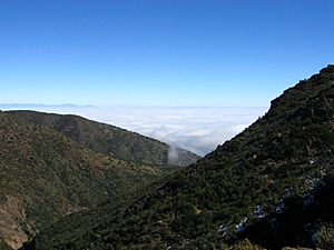 Archivo:Santiago desde Quebrada de Macul - panoramio