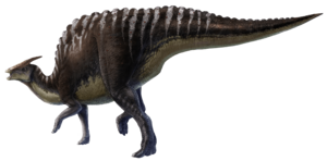 Archivo:Saurolophus angustirostris