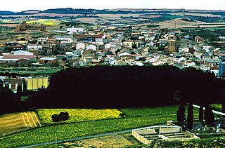 Serón de Nágima (2006).jpg