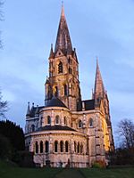 Archivo:St finbarres cathedral1