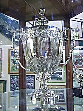 Archivo:Taça Rio