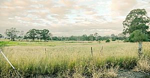 Archivo:Western Sydney (Badgerys Creek) Airport site - Anton Rd