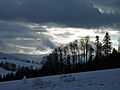 Winterlandschaft (Schwarzwald)