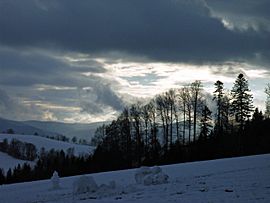 Archivo:Winterlandschaft (Schwarzwald)