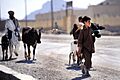 Afghan boy walk their cattle along a street in Farah City, 2012 120512-F-YA200-100