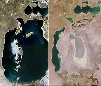 Archivo:Aral Sea 1989-2008