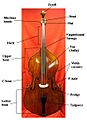 Bassdiagram