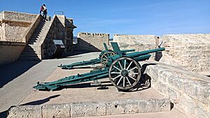 Archivo:Cañón artillería Museo San Carlos