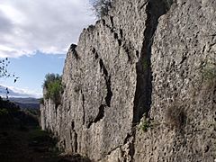Castell de Torís 11