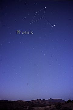 Archivo:Constellation Phoenix