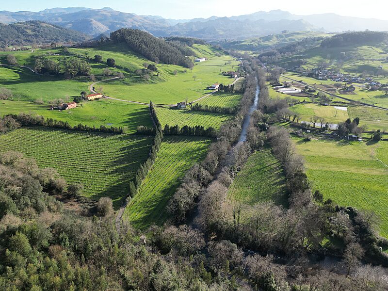 Cuenca baja del Río Miera