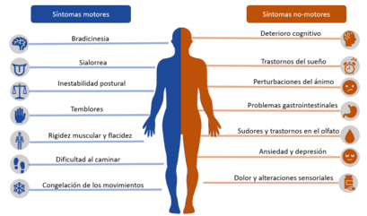 Archivo:Diagrama sintomas Parkinson
