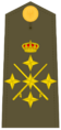 Ejerespadivi26