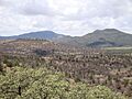 Elephant Mountain (2643333093)
