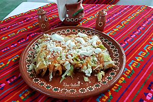 Archivo:Enchiladas Rojas