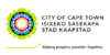 Flag of Cape Town, South Africa.svg