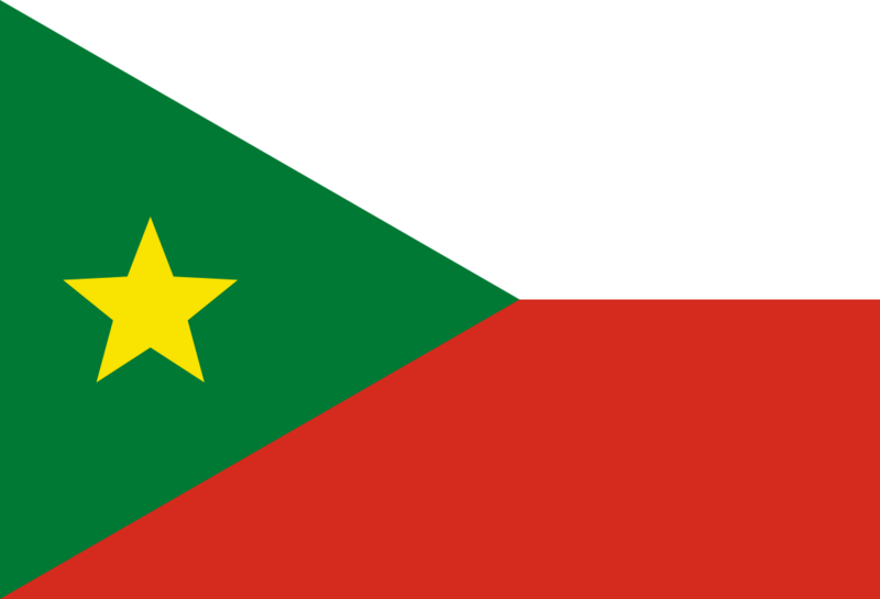 Flag of Cobija, Bolivia