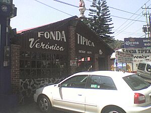Archivo:Fonda veronica