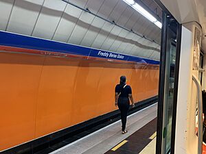 Archivo:Freddy Beras Goico metro station