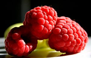 Archivo:Frozen raspberries