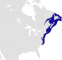 Distribución natural de Homarus americanus (azul)