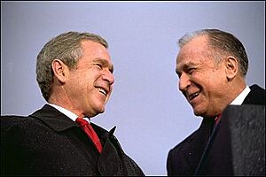 Archivo:Iliescu si Bush