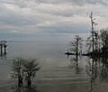Lake Moultrie