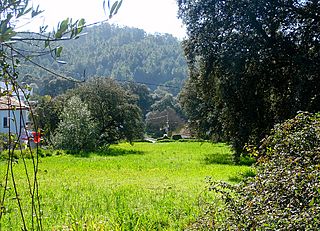 Las Veredas - Almonaster la Real (2).jpg