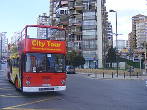 Archivo:MAN Open top City Tour bus, Benidorm A 9736EB - Flickr - sludgegulper