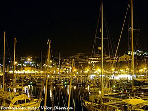 Archivo:Marina do Funchal - Portugal (5923820552)