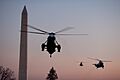 Marine One and others in the White House sky