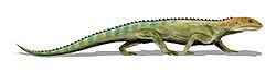 Archivo:Mesosuchus BW