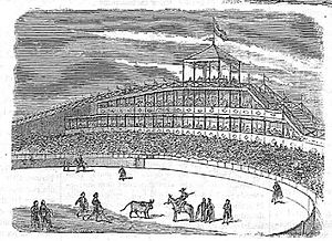 Archivo:Montaña rusa y plaza de toros, Campos Elíseos de Madrid, en El Periódico Ilustrado (cropped)