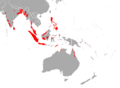 Naked-Rumped Pouched Bat area