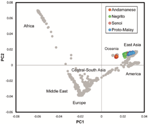 Archivo:PCA of Orang Asli and Andamanese with world populations in HGDP