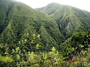 Archivo:Paisajes de arcabuco 009
