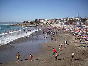 Archivo:Playa Chica de Cartagena (Chile)