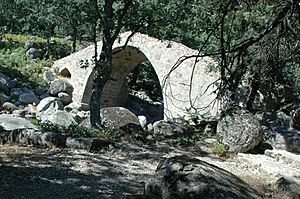 Archivo:Puente en Candeleda