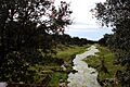Río Tamuja