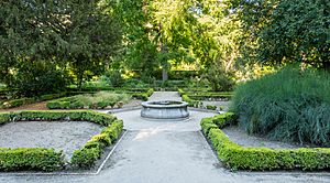 Archivo:Real Jardín Botánico, Madrid, España, 2017-05-18, DD 38